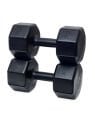10 kg Dambıl (2 Adet 10kg)