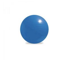 Erzi Pilates Topu 75cm + Pompa Hediyeli