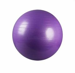 Erzi Pilates Topu 65 cm