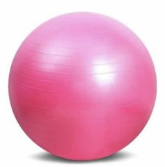 Erzi Pilates Topu 65 cm