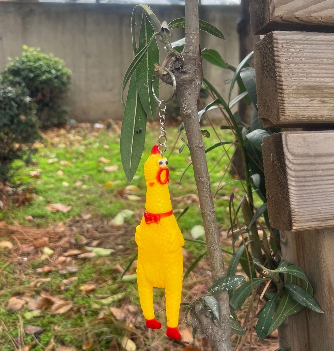 Toptan 12 adet Bağıran Tavuk Anahtarlık